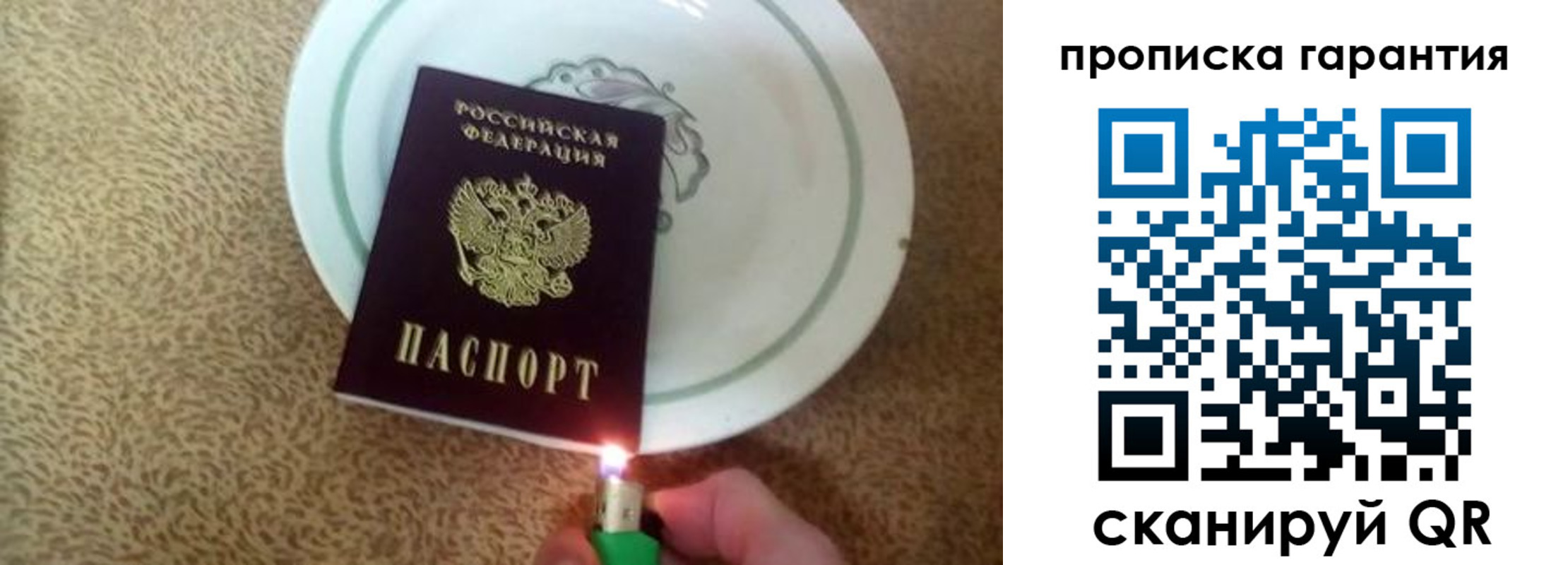 прописка гарантия в Дмитрове